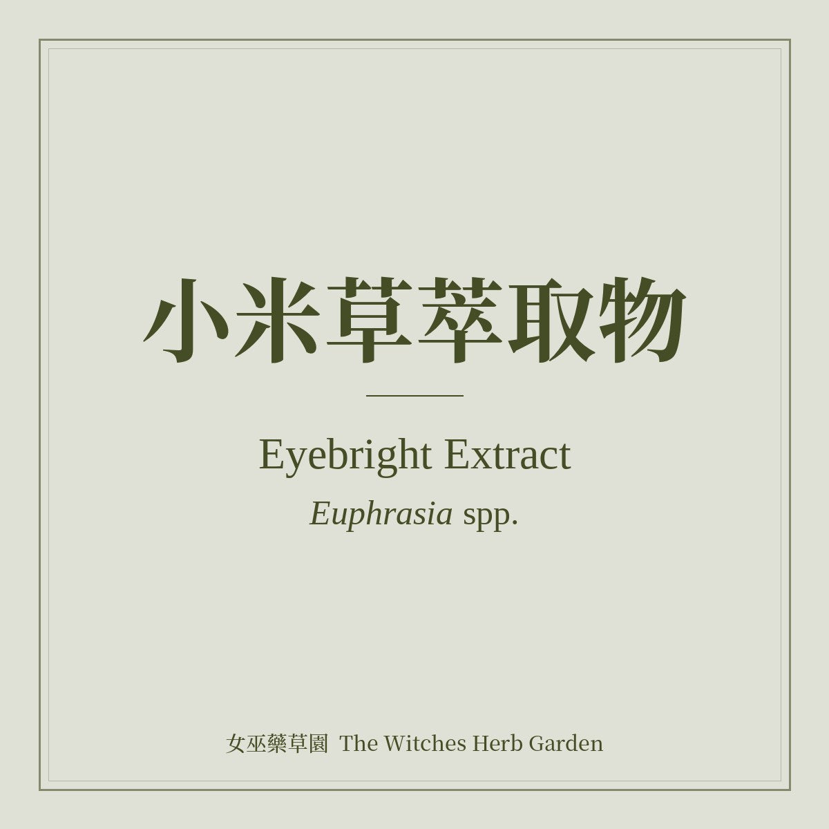 Eyebright Extract 小米草萃取物 Euphrasia spp.