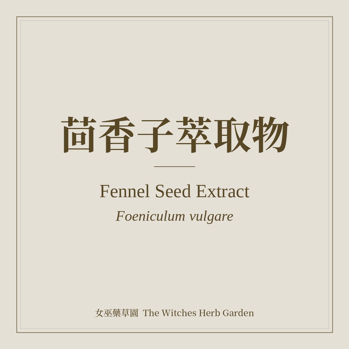 Fennel Seed Extract 茴香子萃取物 Foeniculum vulgare