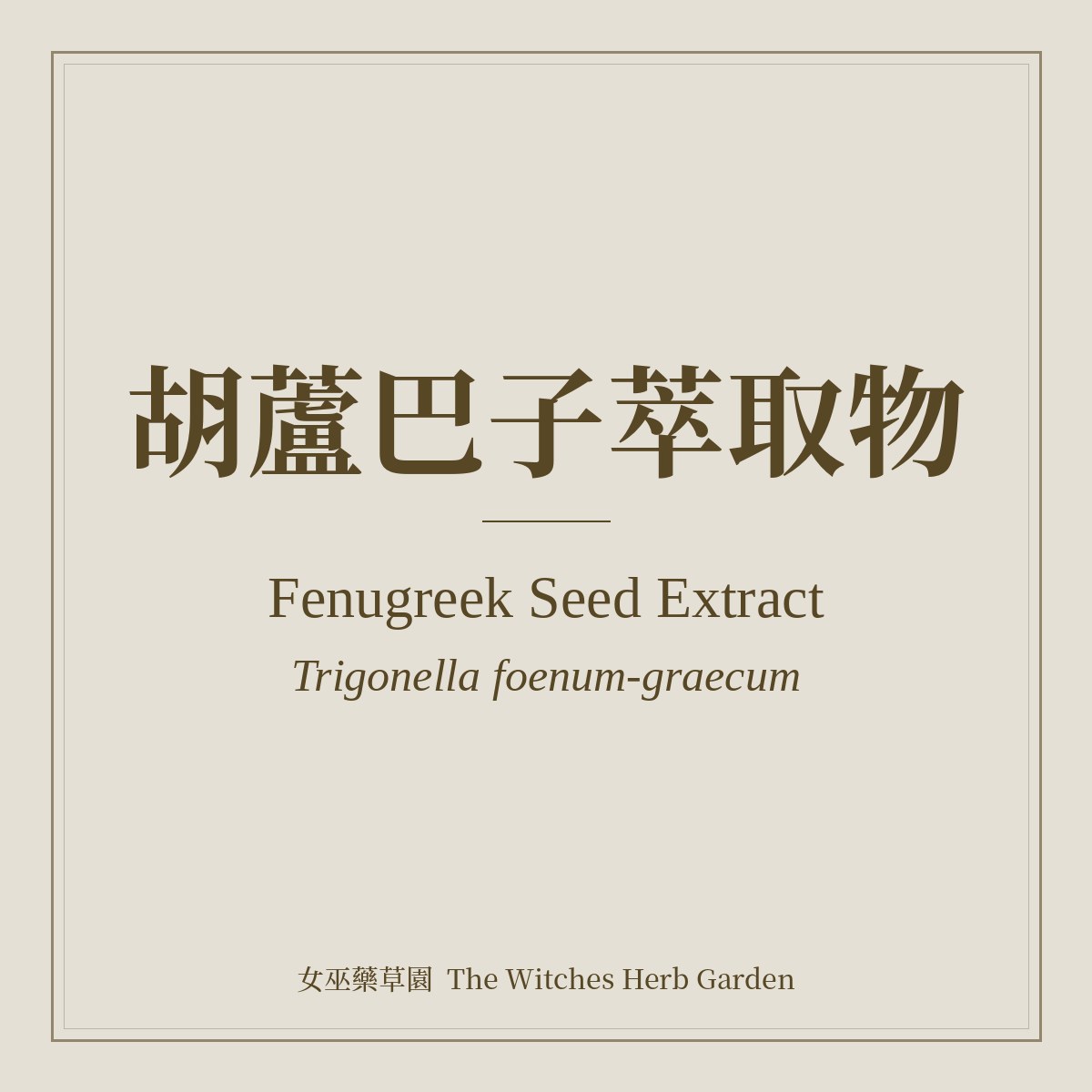Fenugreek Seed Extract 胡蘆巴子萃取物 Trigonella foenum-graecum