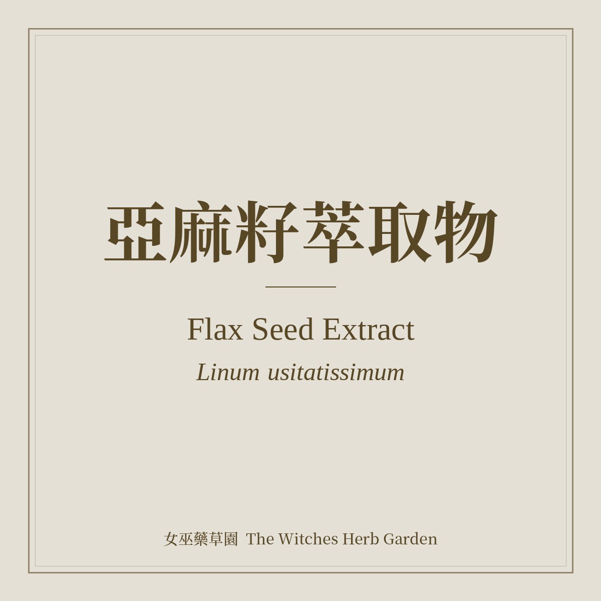Flax Seed Extract 亞麻籽萃取物 Linum usitatissimum
