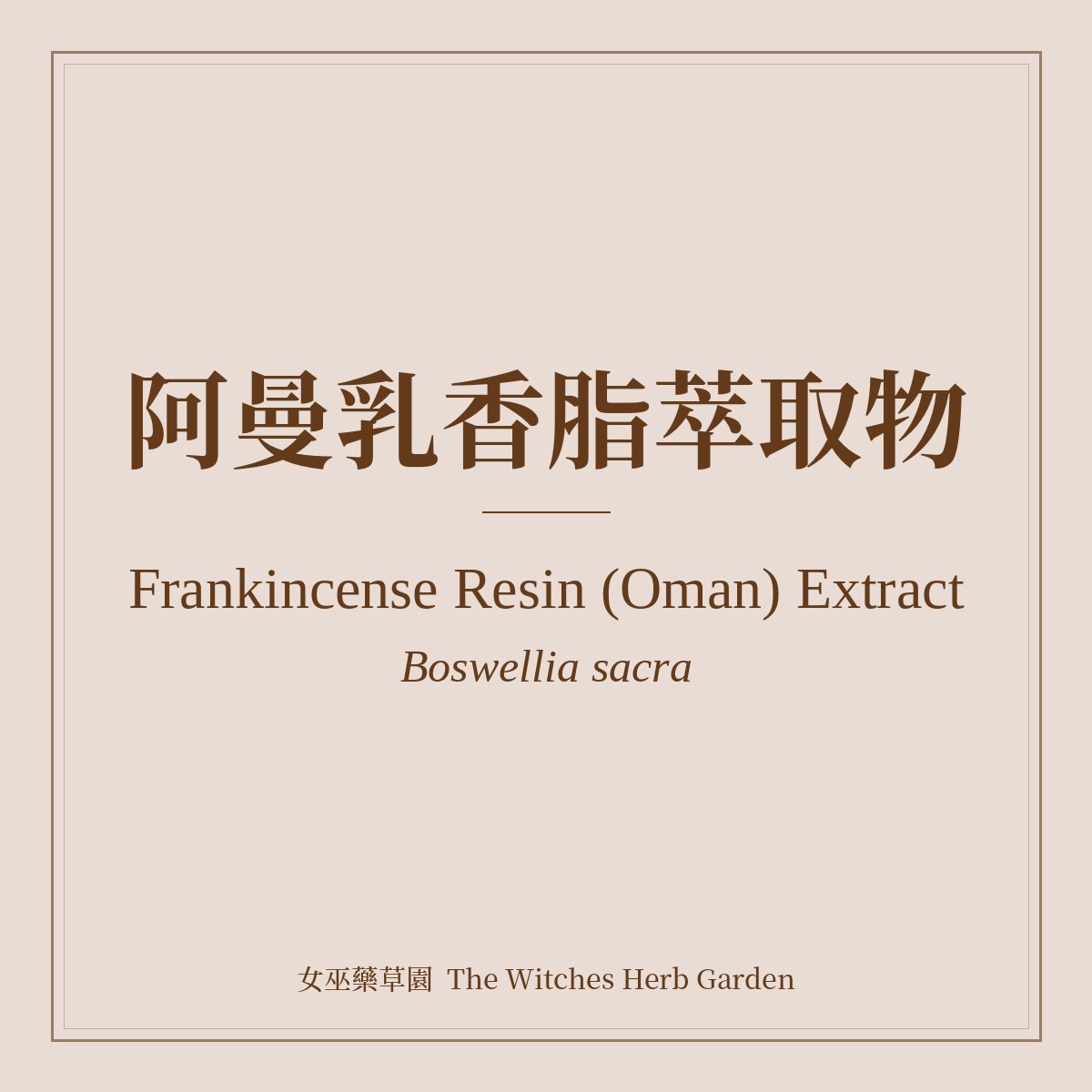 Frankincense Resin (Oman) Extract 阿曼乳香脂萃取物 Boswellia sacra