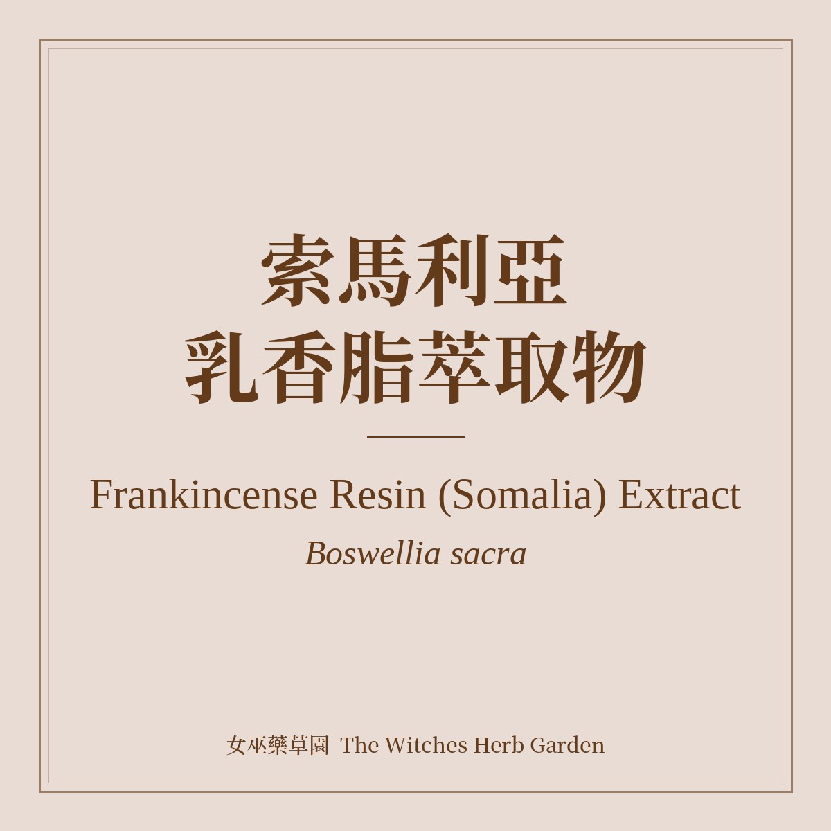 Frankincense Resin (Somalia) Extract 索馬利亞乳香脂萃取物 Boswellia sacra