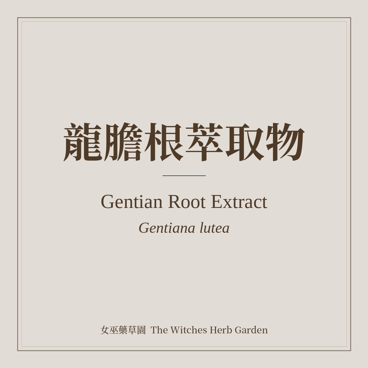 Gentian Root Extract Gentiana lutea