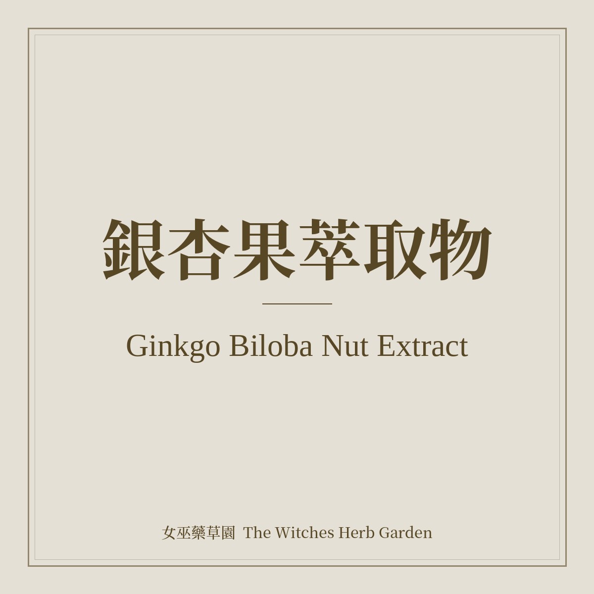 Ginkgo Biloba Nut Extract 銀杏果萃取物