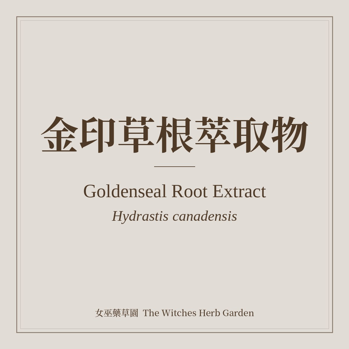 Goldenseal Root Extract 金印草根萃取物 Hydrastis canadensis