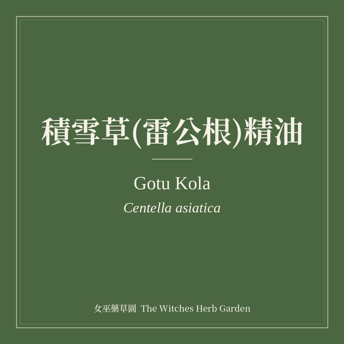 Gotu Kola Essential Oil
