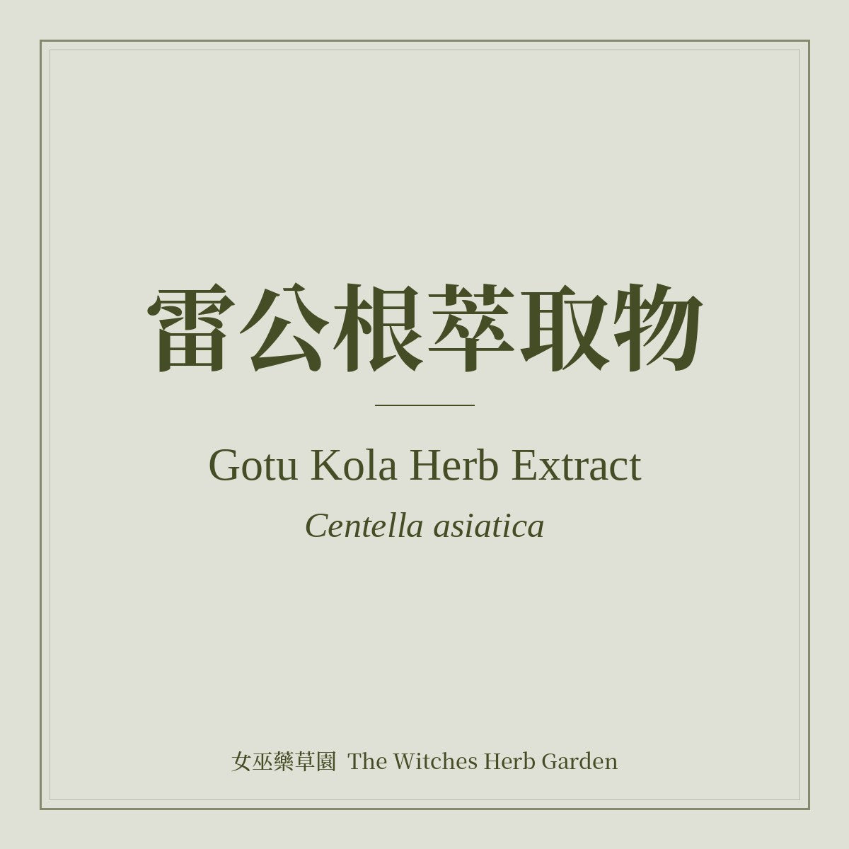 Gotu Kola Herb Extract 雷公根萃取物 Centella asiatica
