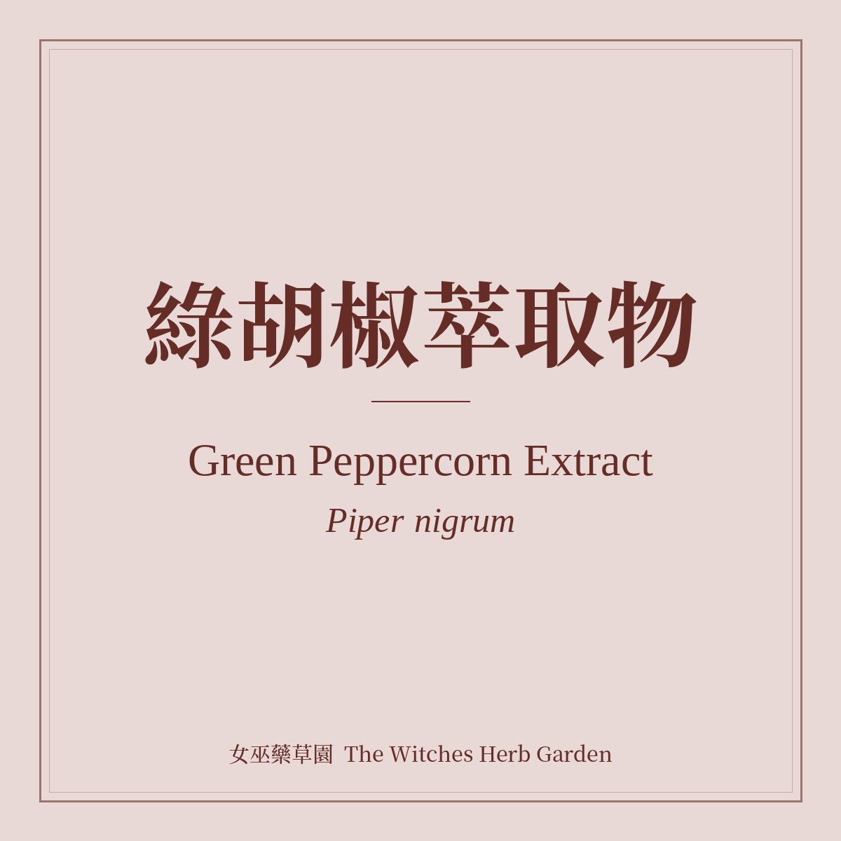 Green Peppercorn Extract Piper nigrum