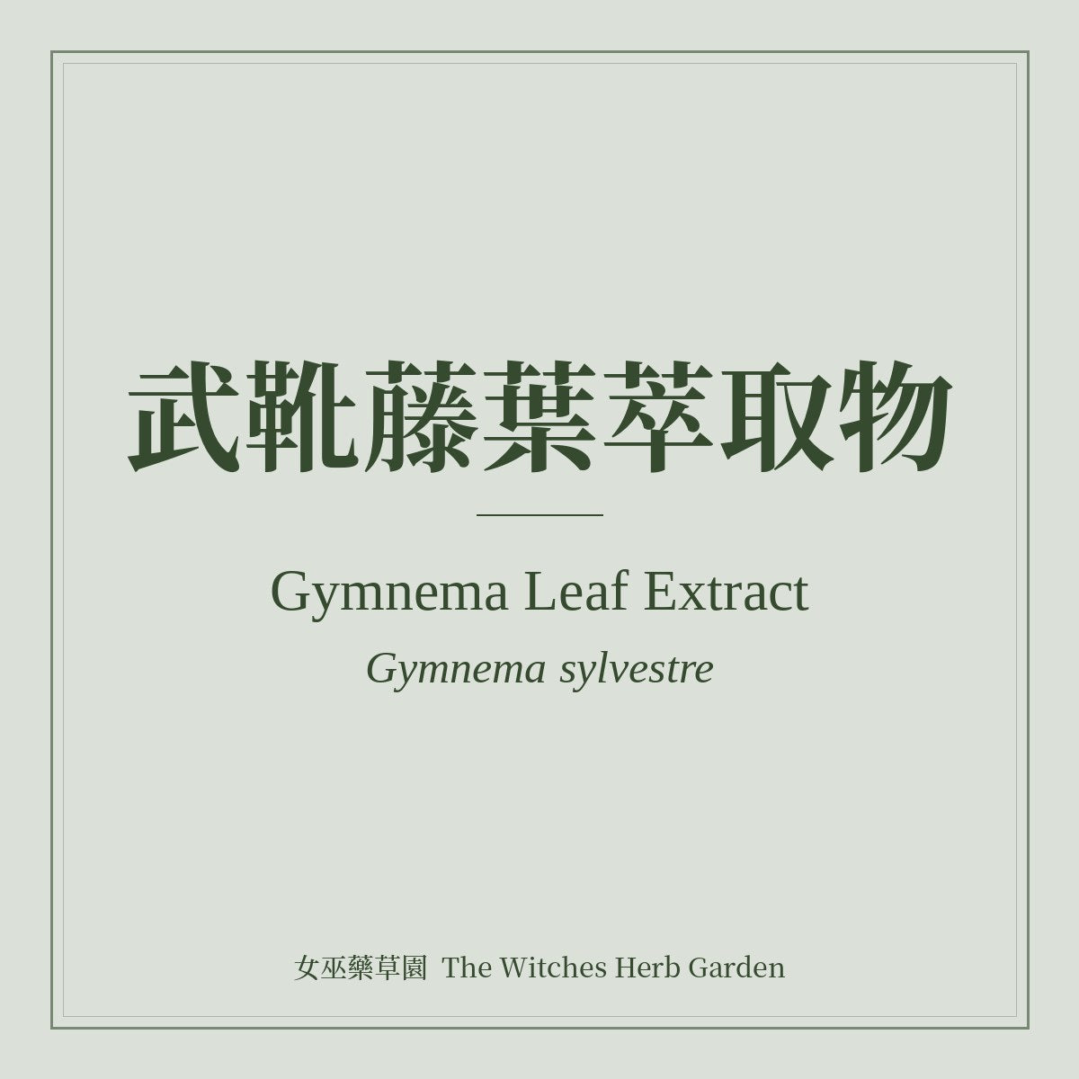 Gymnema Leaf Extract Gymnema sylvestre