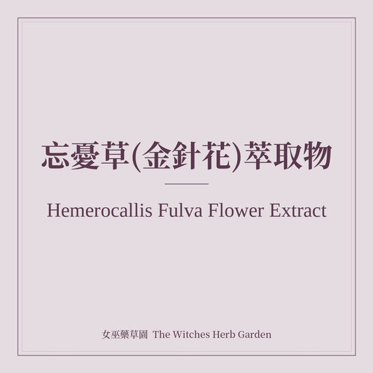 Hemerocallis Fulva Flower Extract 忘憂草(金針花)萃取物