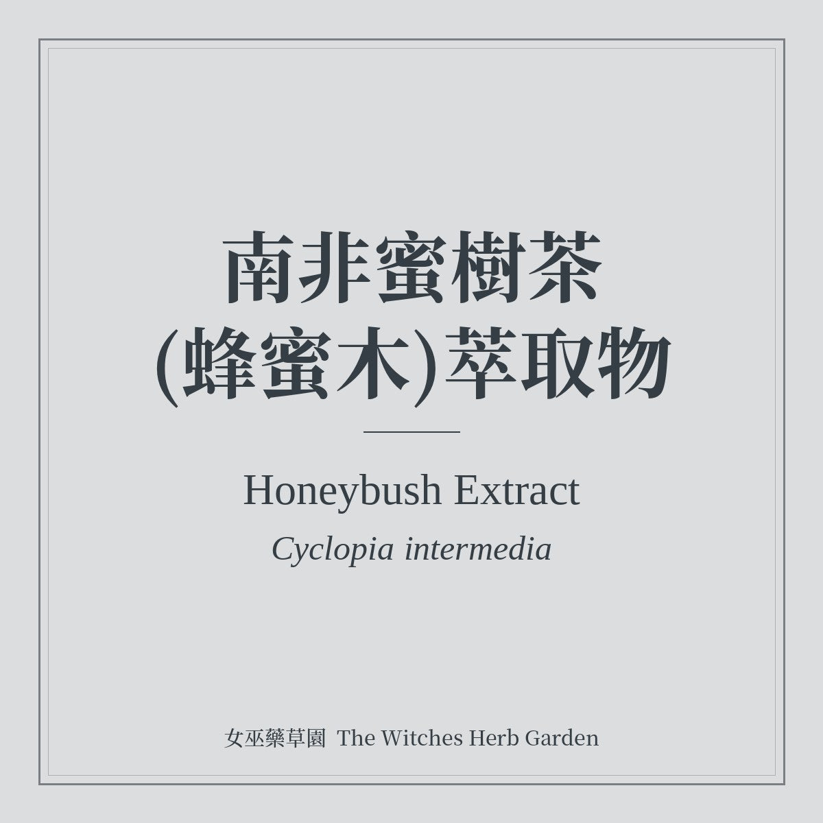 Honeybush Extract 南非蜜樹茶(蜂蜜木)萃取物 Cyclopia intermedia