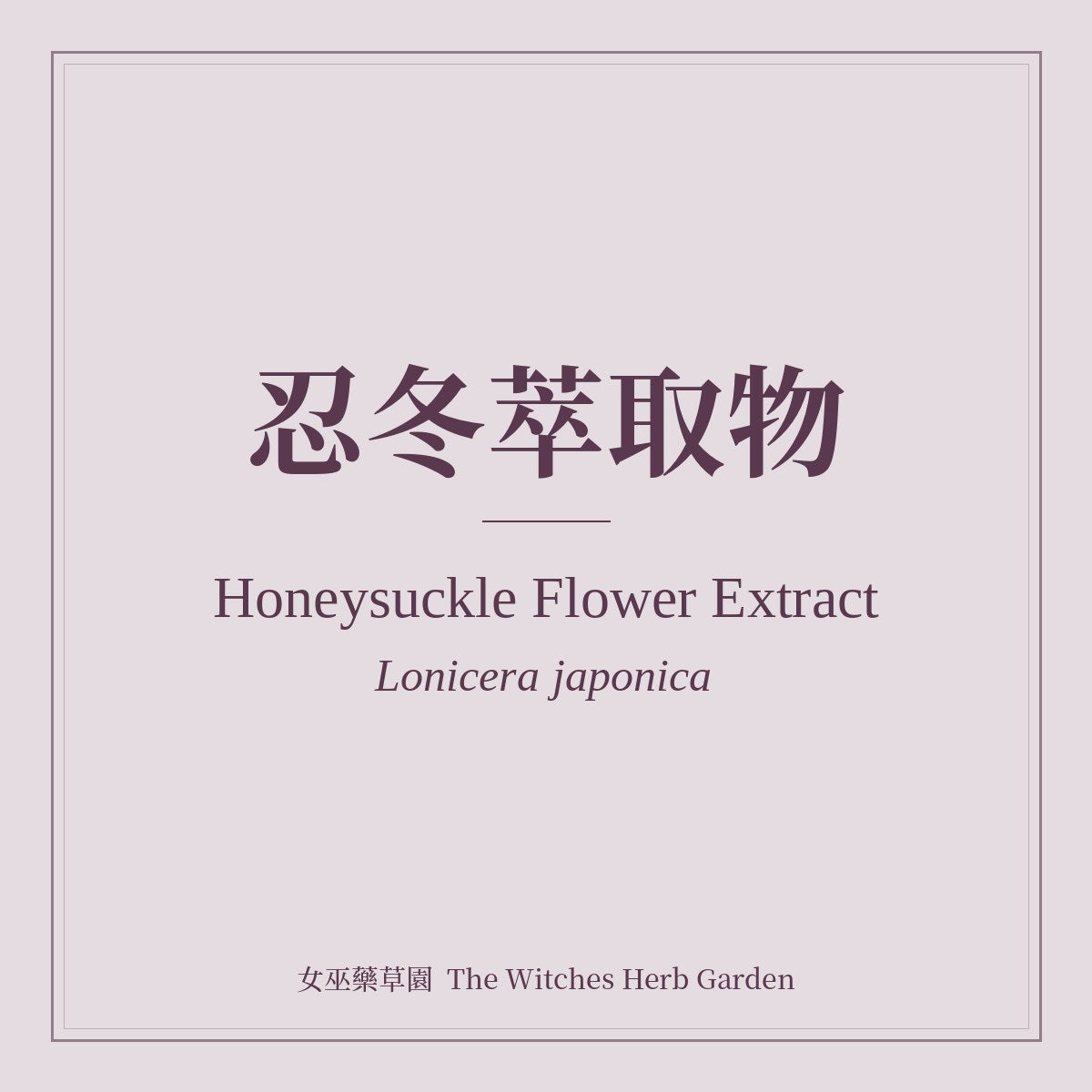 Honeysuckle Flower Extract 忍冬萃取物 Lonicera japonica