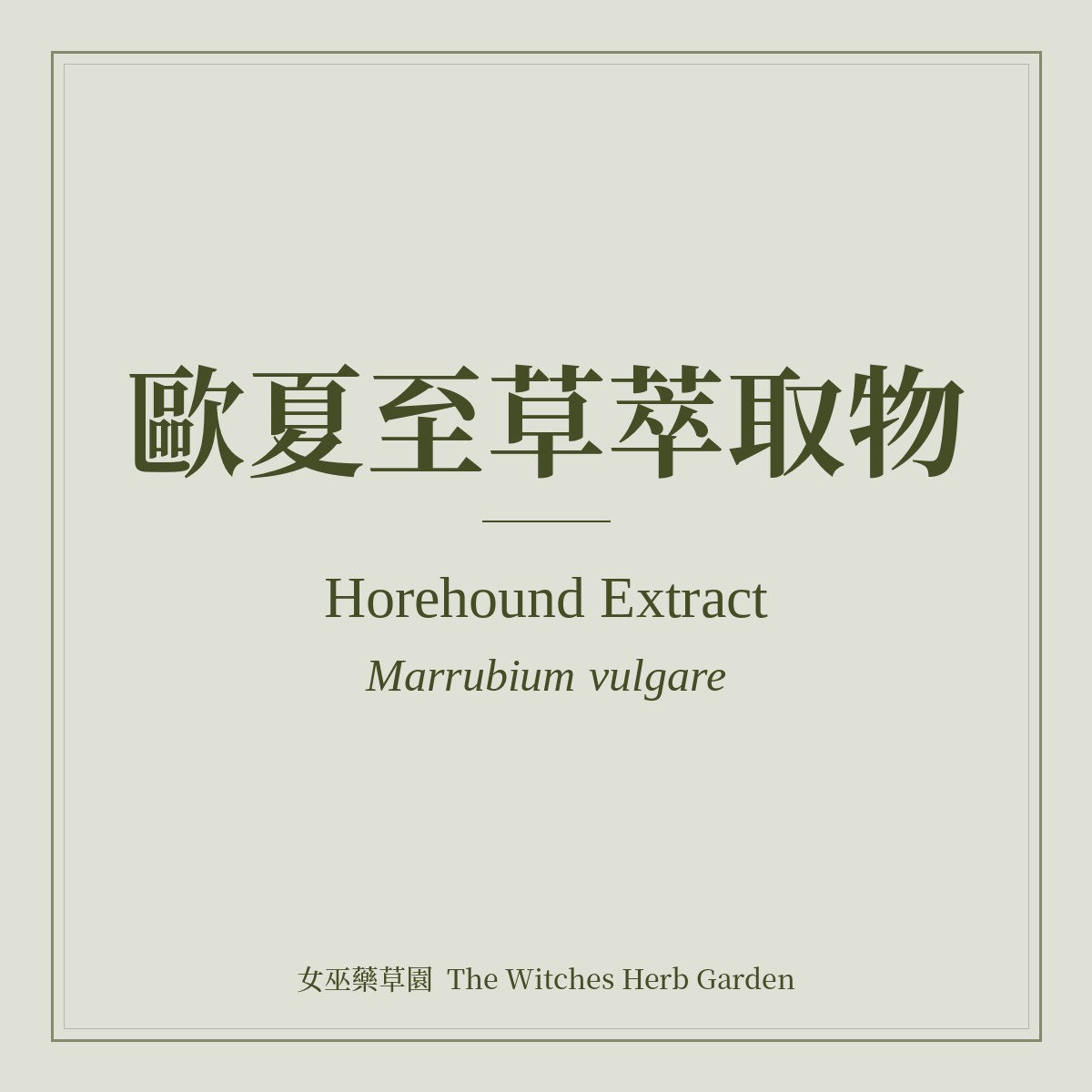 Horehound Extract 歐夏至草萃取物 Marrubium vulgare