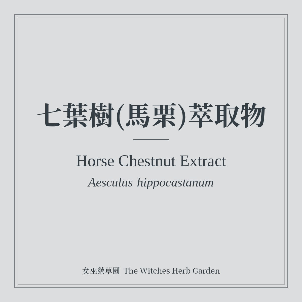 Horse Chestnut Extract 七葉樹(馬栗)萃取物 Aesculus hippocastanum