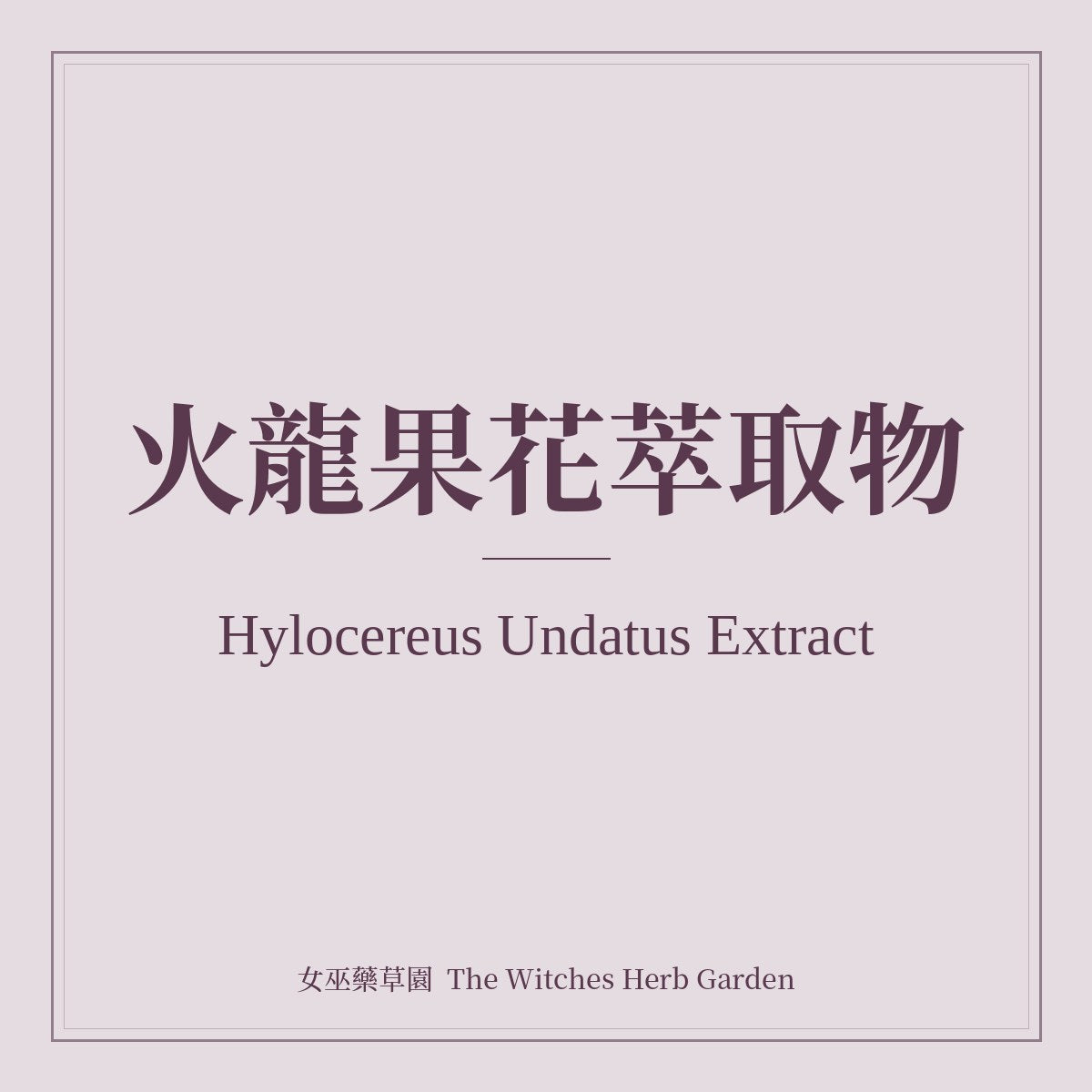 Hylocereus Undatus Extract 火龍果花萃取物