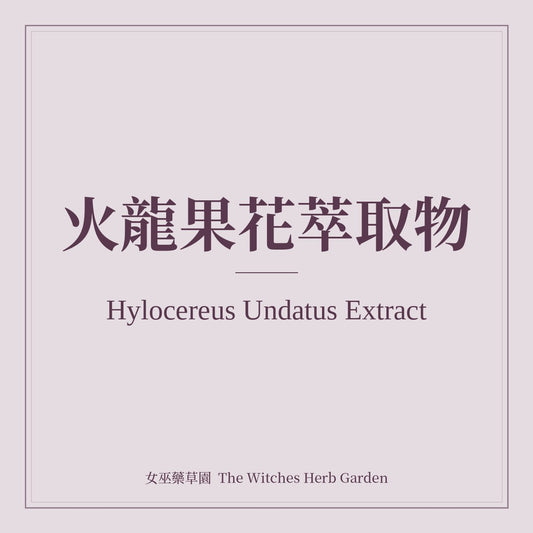 Hylocereus Undatus Extract 火龍果花萃取物