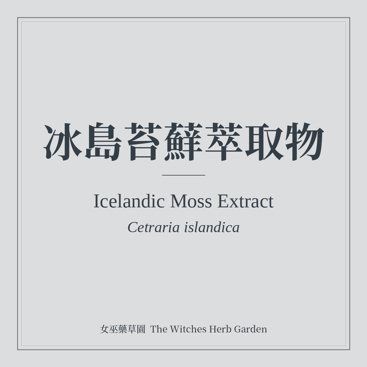 Icelandic Moss Extract 冰島苔蘚萃取物 Cetraria islandica