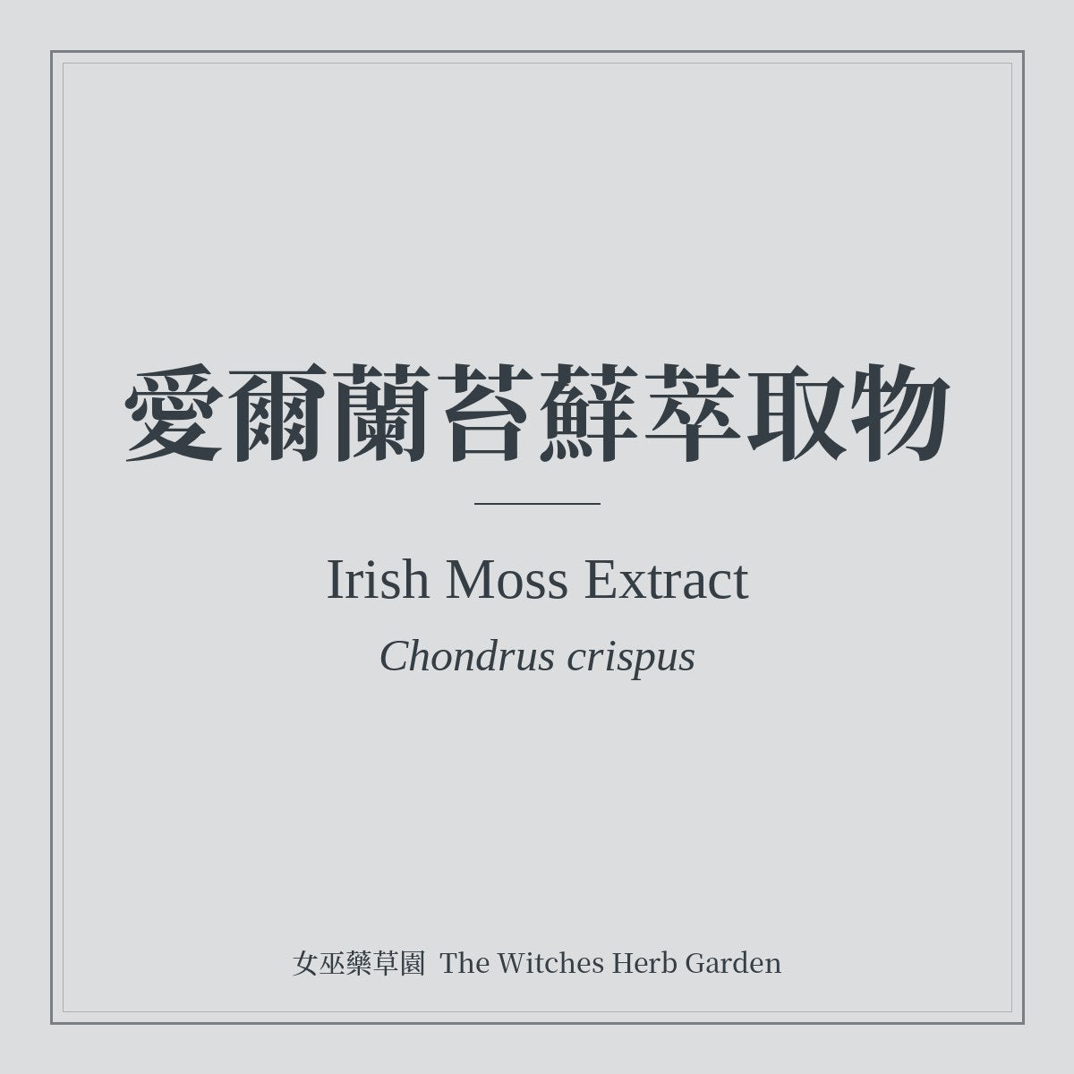 Irish Moss Extract 愛爾蘭苔蘚萃取物 Chondrus crispus