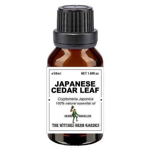 Japanese Cedar Leaf Essential Oil 50ml