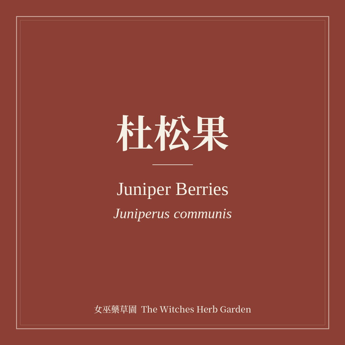 Juniper Berries 杜松果 Juniperus communis