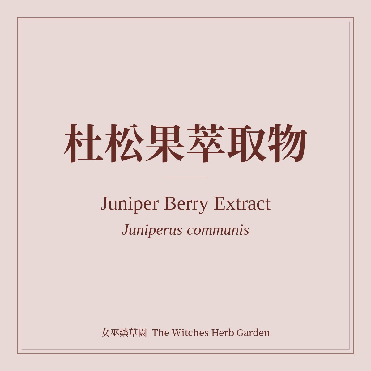 Juniper Berry Extract Juniperus communis