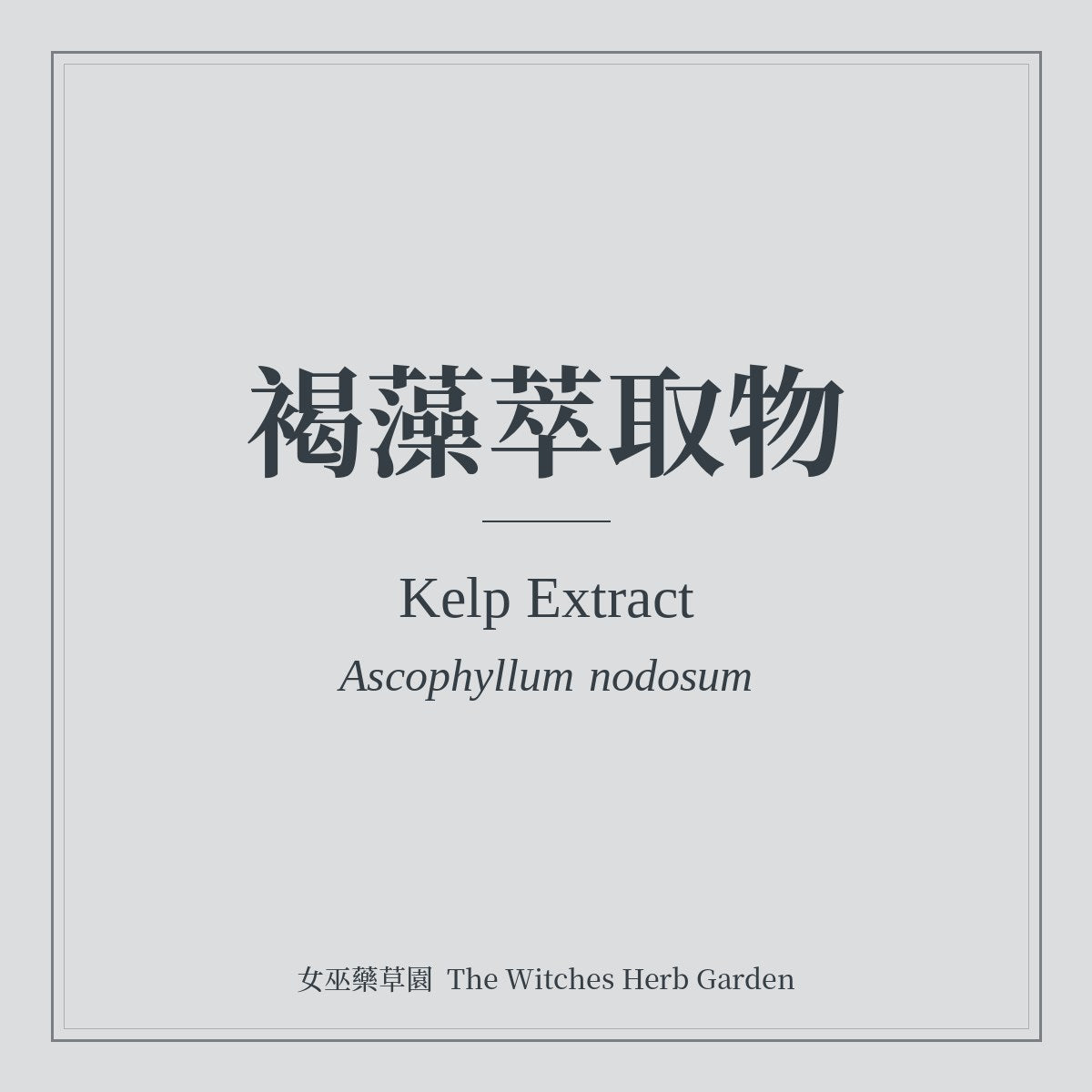 Kelp Extract Ascophyllum nodosum