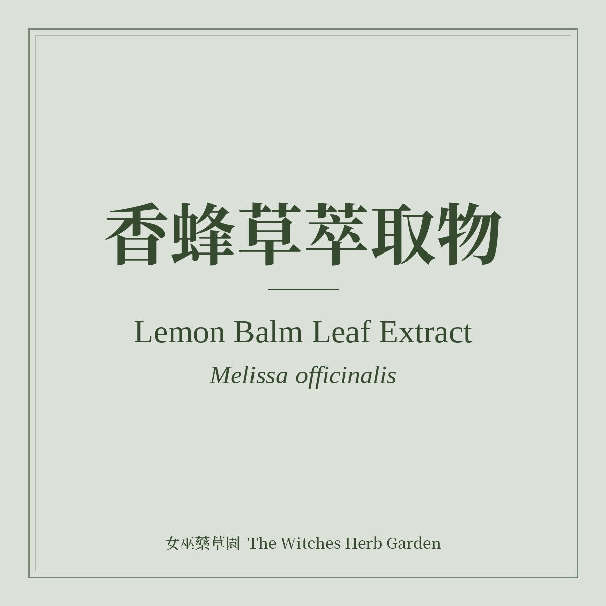 Lemon Balm Leaf Extract Melissa officinalis