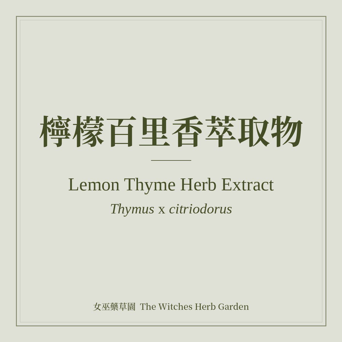 Lemon Thyme Herb Extract 檸檬百里香萃取物 Thymus x citriodorus