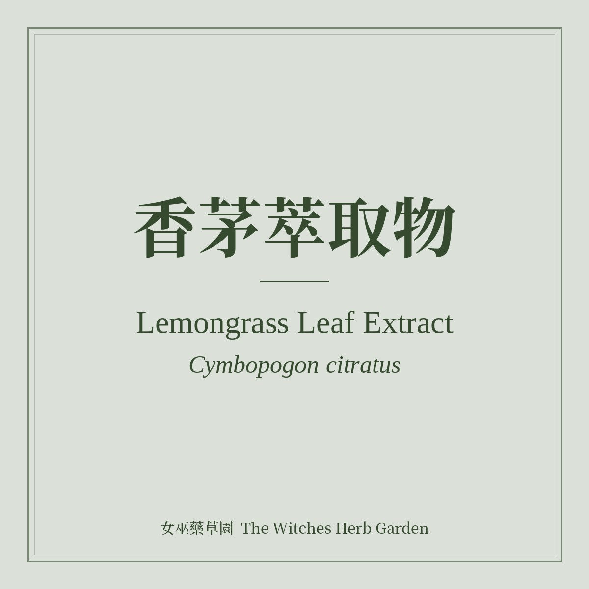 Lemongrass Leaf Extract Cymbopogon citratus