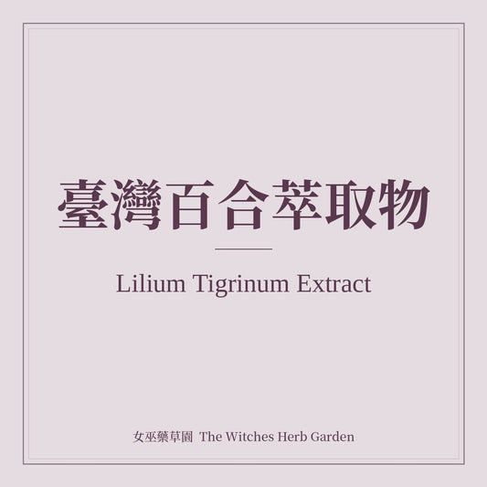 Lilium Tigrinum Extract 臺灣百合萃取物