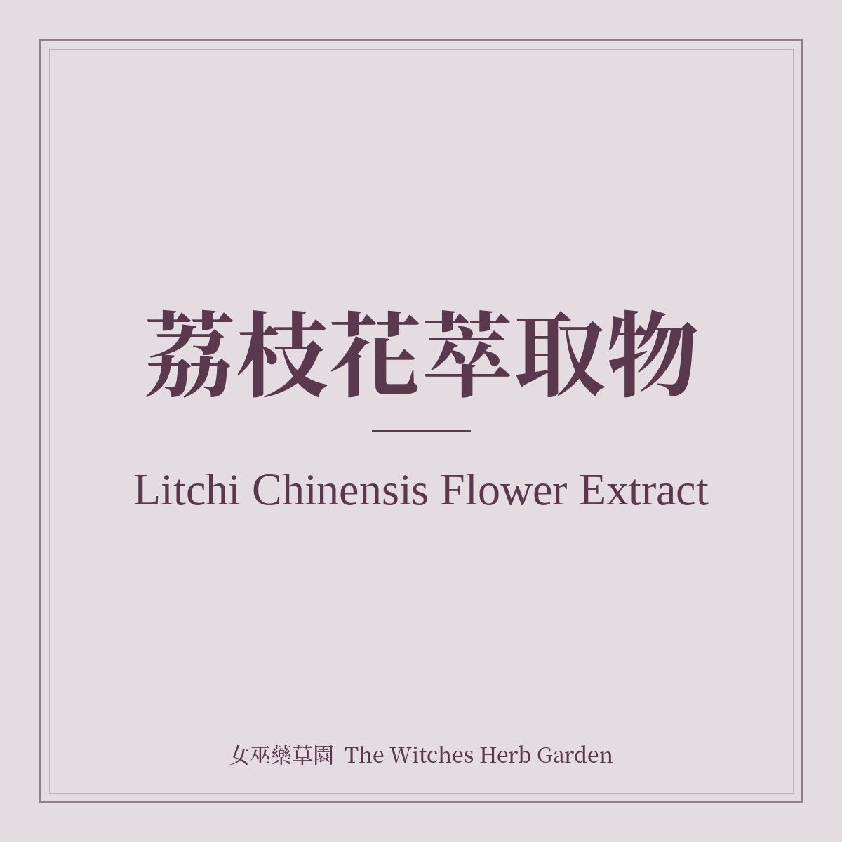 Litchi Chinensis Flower Extract 荔枝花萃取物