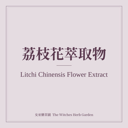 Litchi Chinensis Flower Extract 荔枝花萃取物