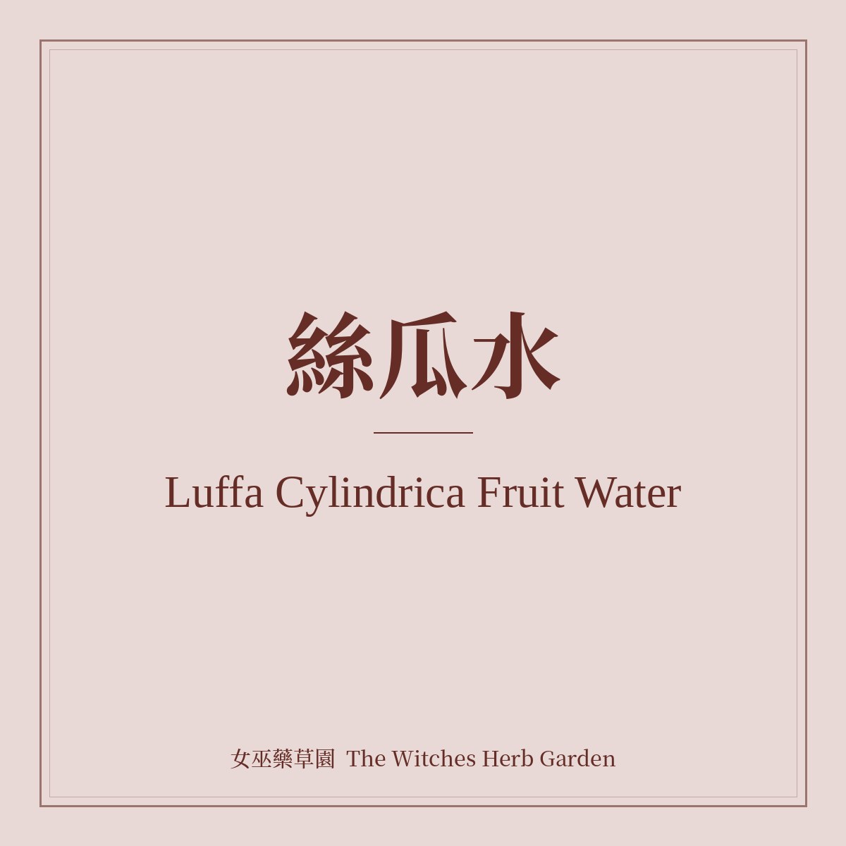 Luffa Cylindrica Fruit Water 絲瓜水