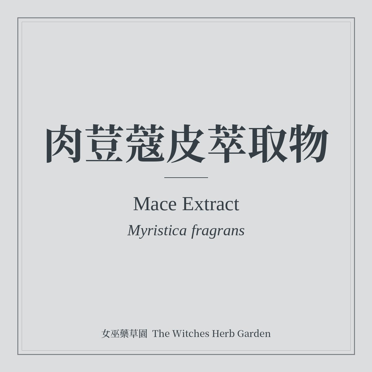 Mace Extract 肉荳蔻皮萃取物 Myristica fragrans