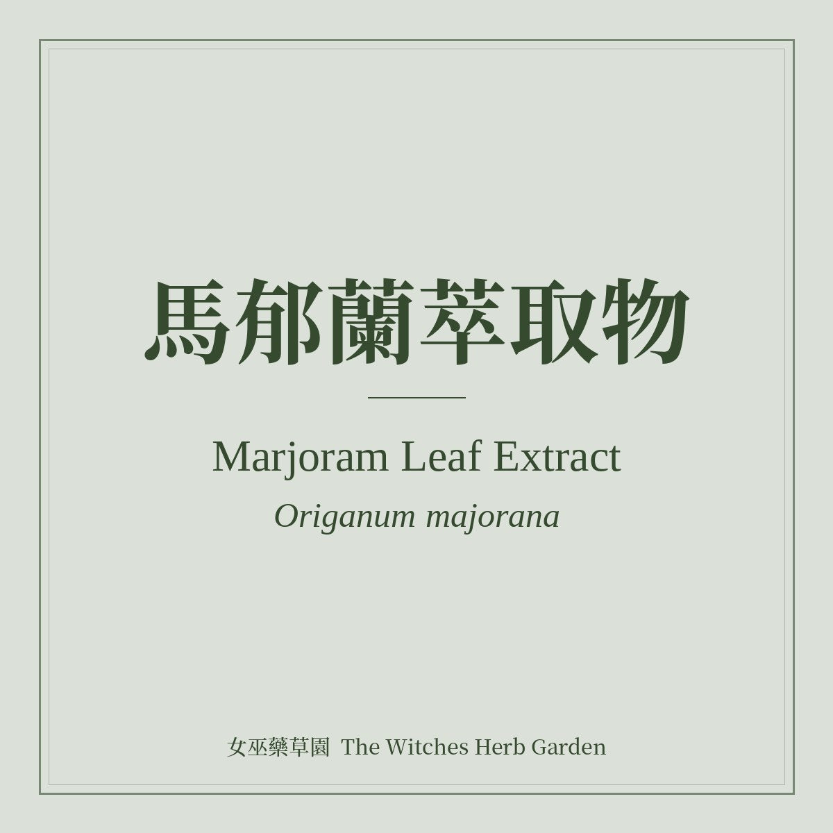 Marjoram Leaf Extract 馬郁蘭萃取物 Origanum majorana