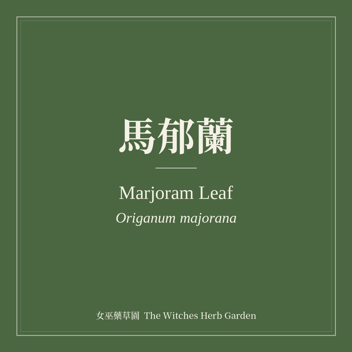 Marjoram Leaf Origanum majorana