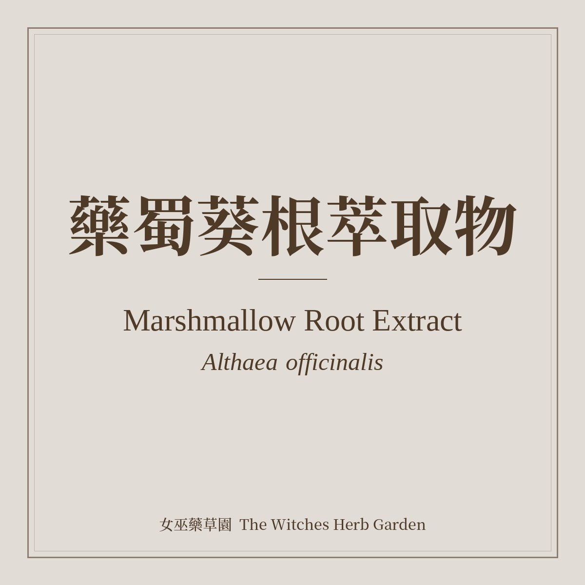 Marshmallow Root Extract 藥蜀葵根萃取物 Althaea officinalis