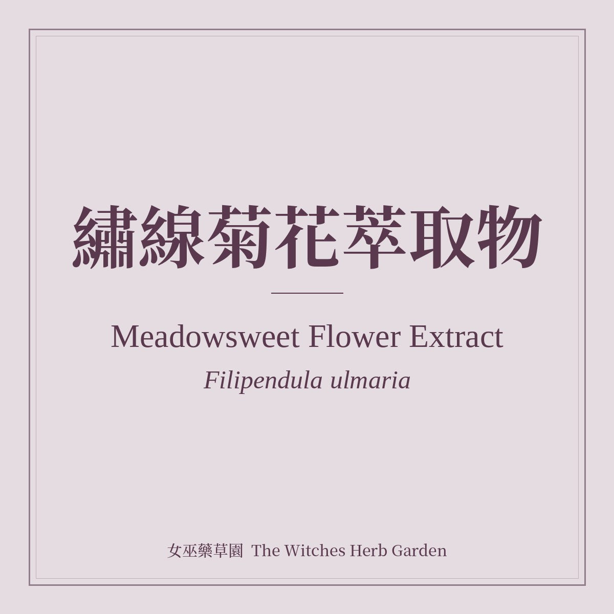 Meadowsweet Flower Extract Filipendula ulmaria