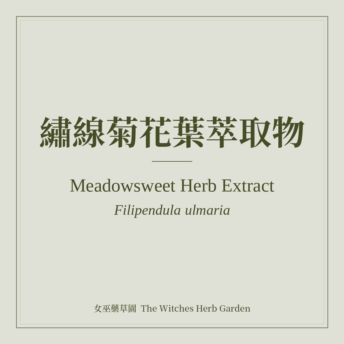 Meadowsweet Herb Extract Filipendula ulmaria