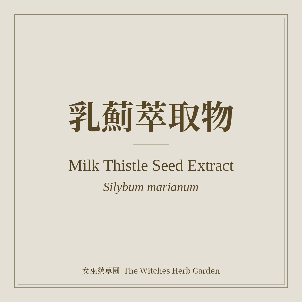 Milk Thistle Seed Extract Silybum marianum