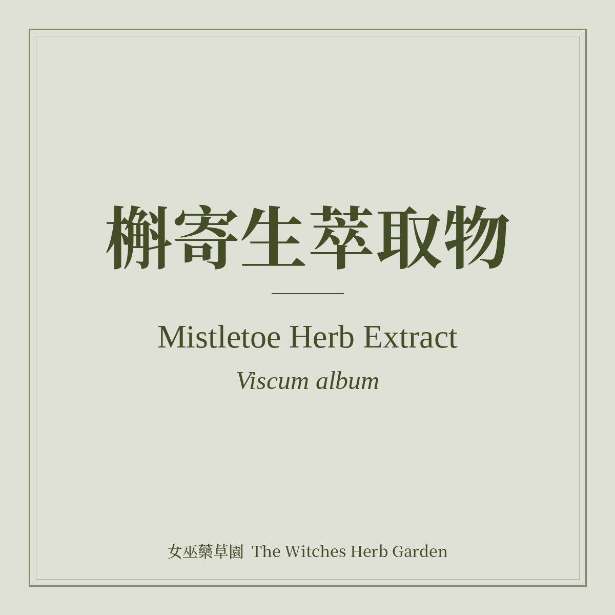 Mistletoe Herb Extract 槲寄生萃取物 Viscum album