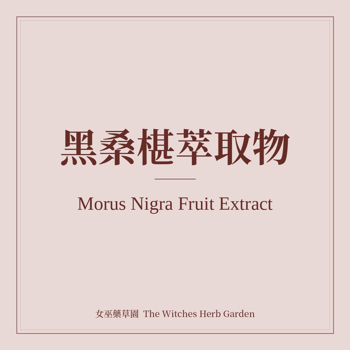 Morus Nigra Fruit Extract 黑桑椹萃取物