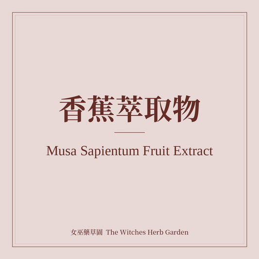 Musa Sapientum Fruit Extract 香蕉萃取物