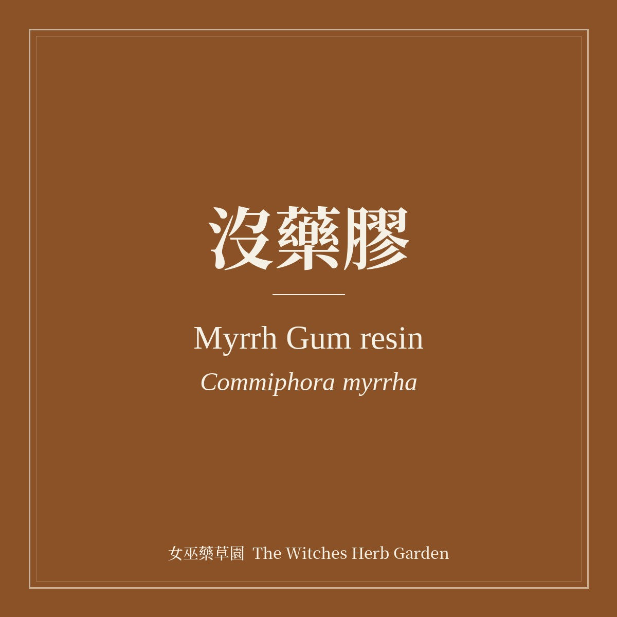 Myrrh Gum resin 沒藥膠 Commiphora myrrha