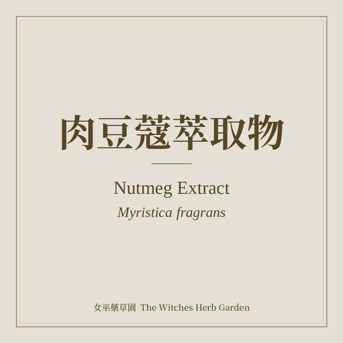 Nutmeg Extract Myristica fragrans