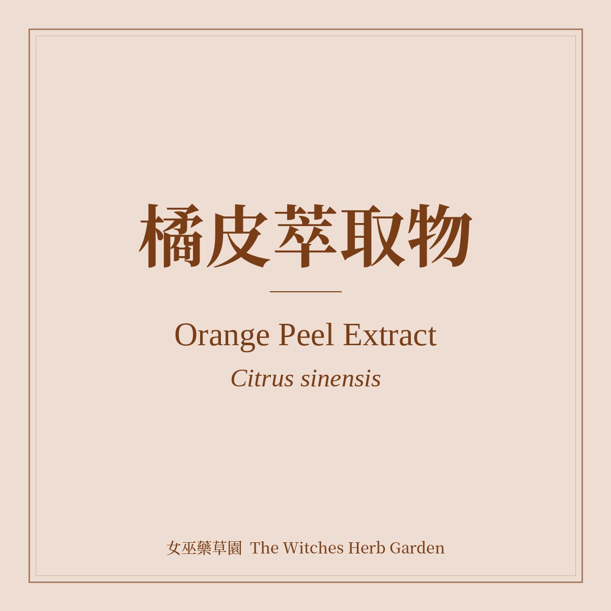 Orange Peel Extract 橘皮萃取物 Citrus sinensis