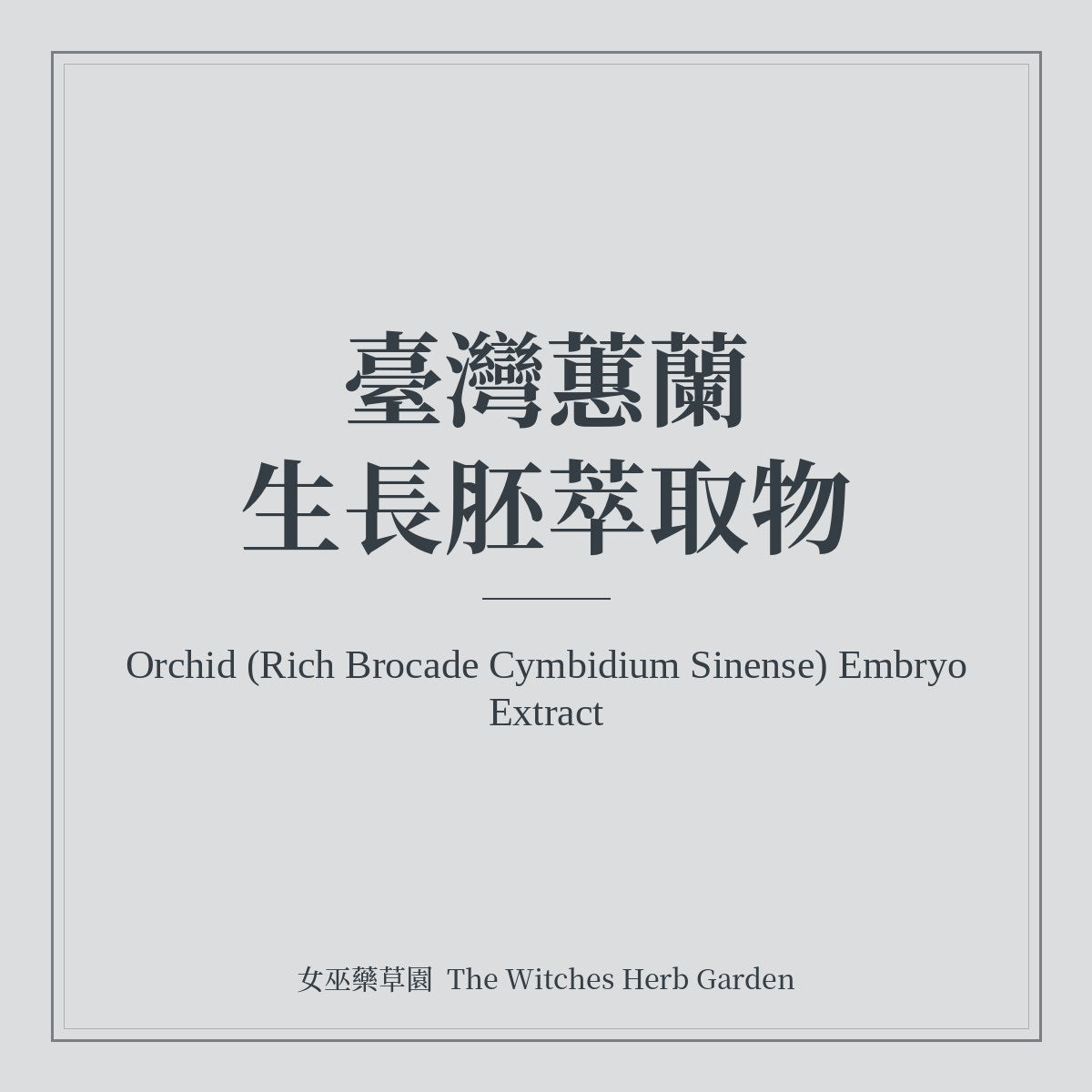 Orchid (Rich Brocade Cymbidium Sinense) Embryo Extract 臺灣蕙蘭生長胚萃取物