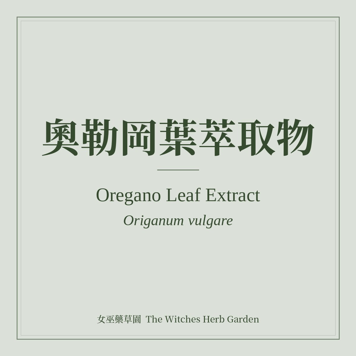 Oregano Leaf Extract 奧勒岡葉萃取物 Origanum vulgare
