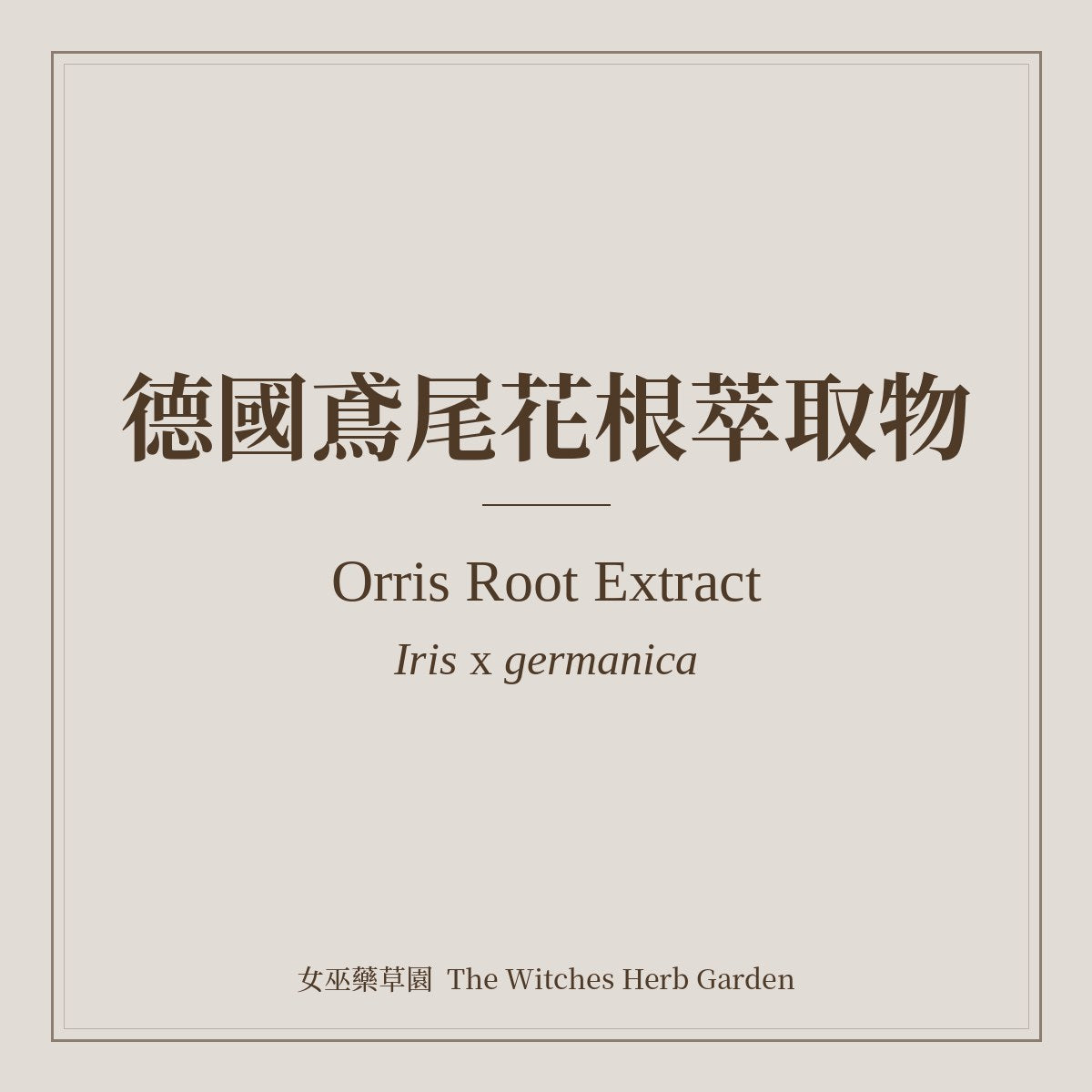 Orris Root Extract Iris x germanica