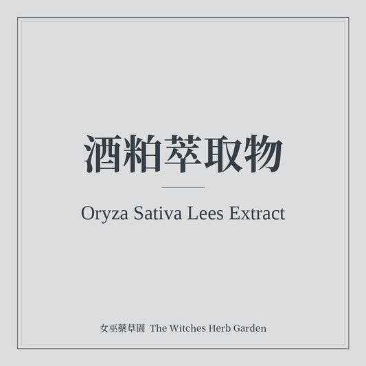Oryza Sativa Lees Extract